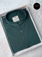 Premium Sequence Panjabi