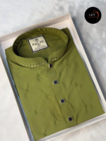 Premium Sequence Panjabi