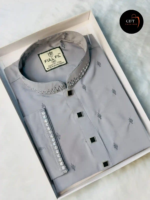 Premium Sequence Panjabi