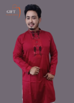 Premium Sequence Panjabi