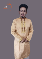 Premium Sequence Panjabi