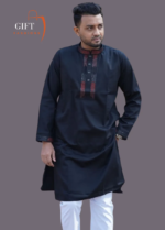 Premium Sequence Panjabi