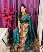 Soft silk katan sharee