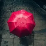 Umbrella