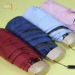 Mini Umbrella