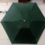 Mini Umbrella
