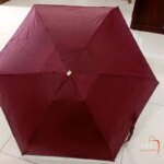 Mini Umbrella