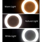 10 inch LED Ring Phil Light Ringlight Photography Beauty Light - Image 4
