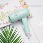 2024 Cartoon Fashion Hair Dryer for Children/Students/Dormitories/Travel Portable Foldable 2-speed Home Hair Dryer - Image 5