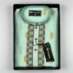 Exclusive Indian IC Embroidered Panjabi - Image 2