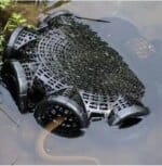 Fish Catching Trap (Small) - Image 5