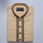 Indian Exclusive Embroidery Panjabi