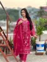 Vibrant Fuchsia Embroidered Organza Salwar Kameez Set - Image 4