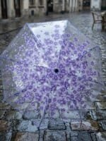 Transparent Flower Design Folding Women Fashion Umbrella - Image 4
